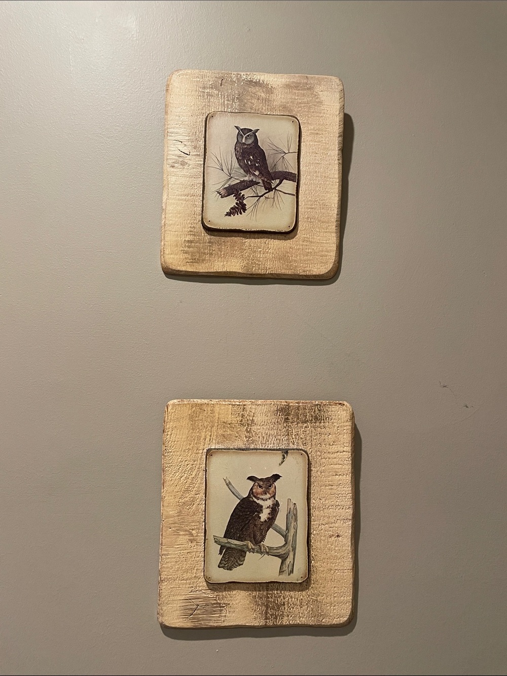 Set of 2 owl prints wall decor